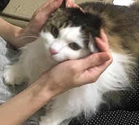 元永和美